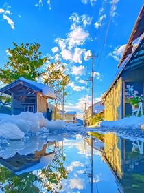 青鸞夫人的后續(xù)