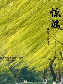 驚鴻（輕黎）