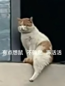 潮起时无岸