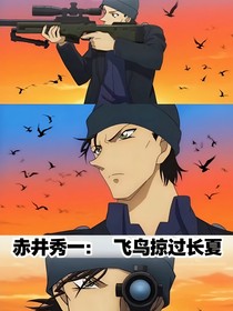 赤井秀一：飛鳥掠過長夏