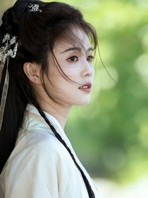綜影視之春風(fēng)十里