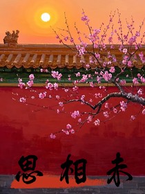 未相思
