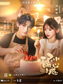 王牌對王牌9：一不小心吻上癮