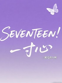 SEVENTEEN：一寸心