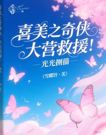 喜美之奇?zhèn)b大營(yíng)救：光的賭注