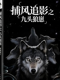 捕風(fēng)追影之九頭狼崽