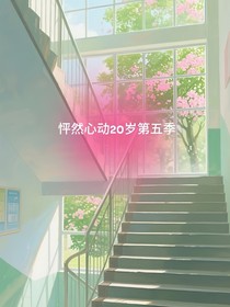 怦然心動20歲第五季國外篇