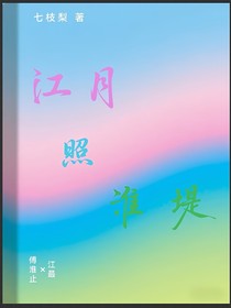 江月照淮堤