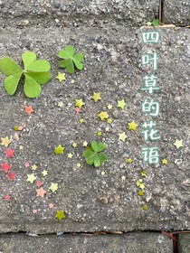 特利迦：四葉草的花語