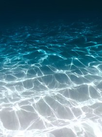 前傳系列——西海遺事