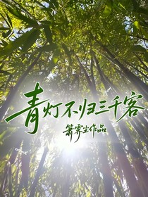 青燈不歸三千客
