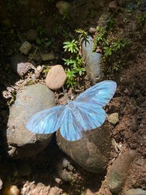 泰版流星花園：一起吧