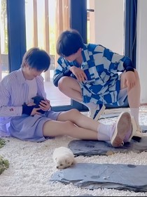 TF家族三代：高中時(shí)光
