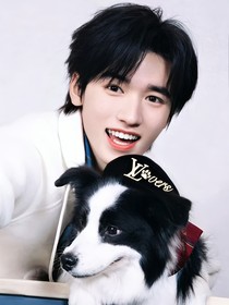 这是我的西游：七只小狗已上位