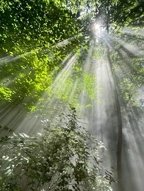 每日記錄數(shù)據(jù)分析是方向盤