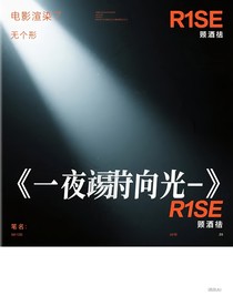 逆向的光——R1SE