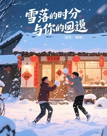 雪落時(shí)重逢，余生皆為你
