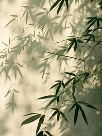 兩世沉淪