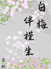 白梅伴槿生