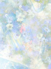 我的小梅花