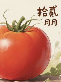 综影视龙葵的穿越之旅