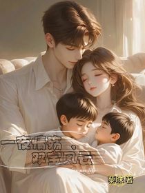 一夜情殤，雙寶風云