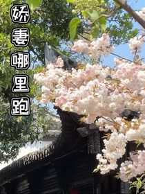 嬌妻哪里跑??！