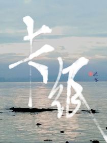 卡紙