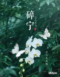 碎寧