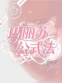 瑪麗蘇公式法