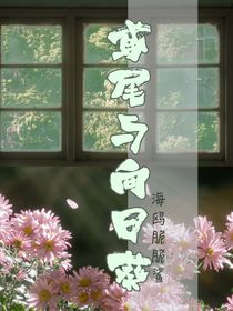 網(wǎng)王夢(mèng)向：鳶尾與向日葵