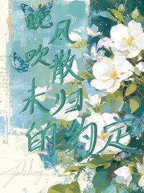 晚風(fēng)吹散了未歸的約定