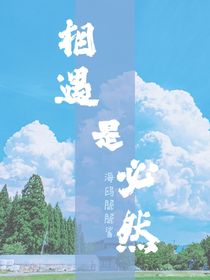 網(wǎng)王夢向：相遇是必然