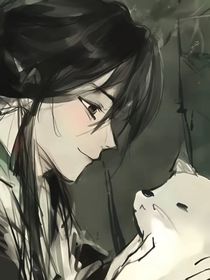 愿歲至碎