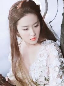綜影視：她集萬千寵愛于一身