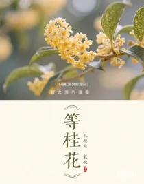 等桂花開(kāi)
