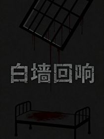白墻回響