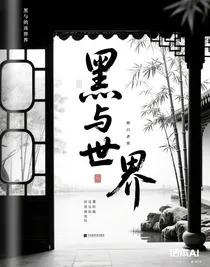 黑與白世界