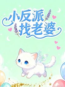小反派找老婆