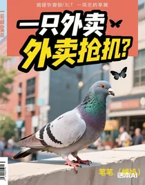 一只鴿子的外賣劫