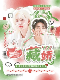 SEVENTEEN：藏嬌