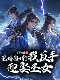 退婚贅婿？我反手迎娶圣女