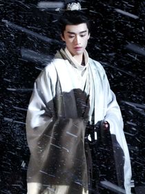 綜影視：吾妻