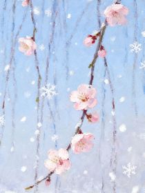 暗戀是沒有結(jié)果的……