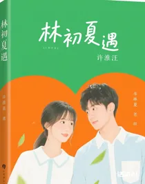 槐夏遇