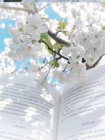 KPL：她嬌滴滴的
