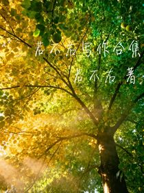 若不右寫作合集