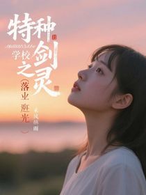 特種兵學(xué)校之劍靈（落日余暉）