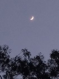 隨筆集—高中
