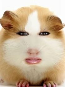 不是什么好東西